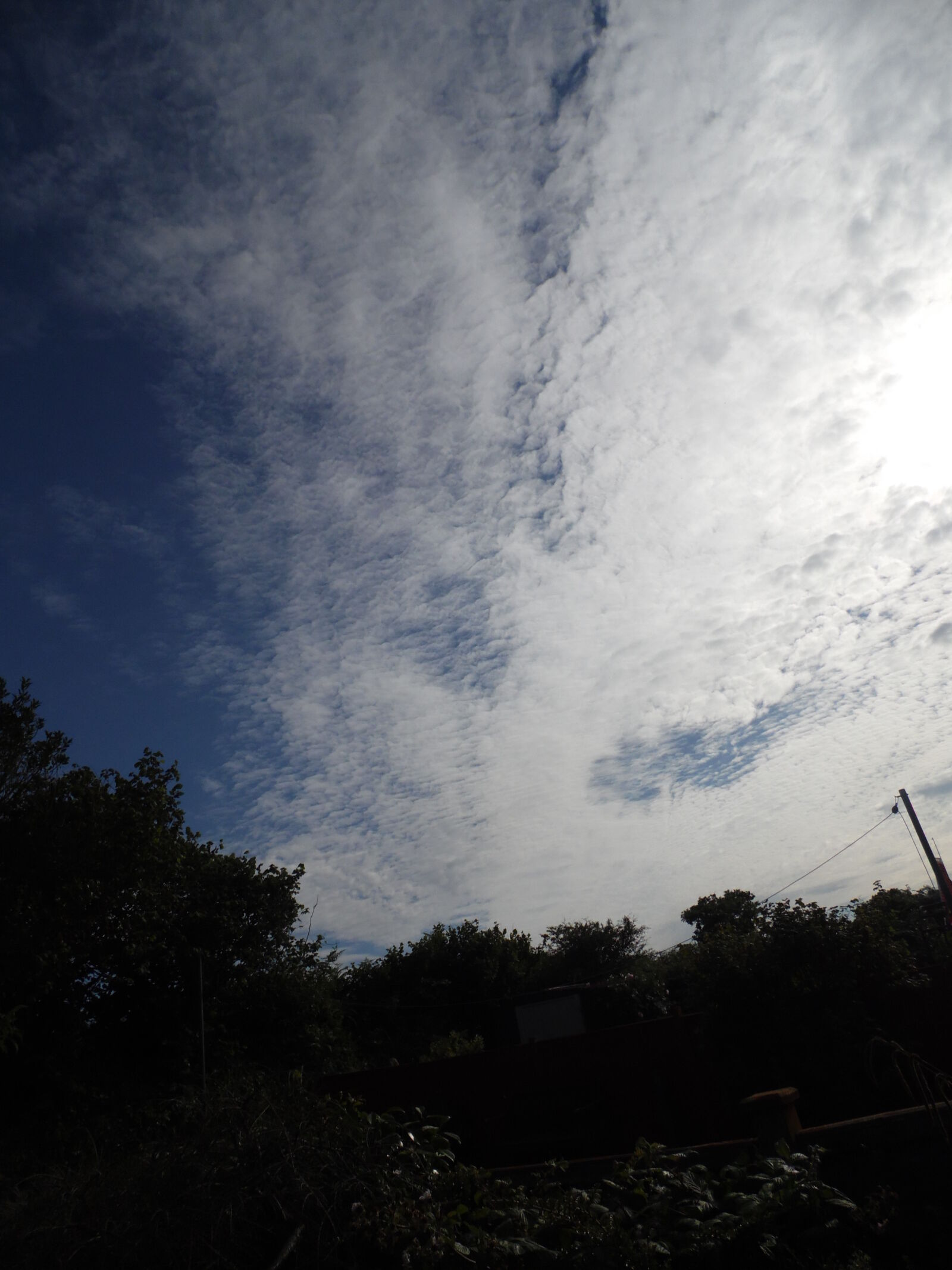 Samsung WB100/  WB101 sample photo