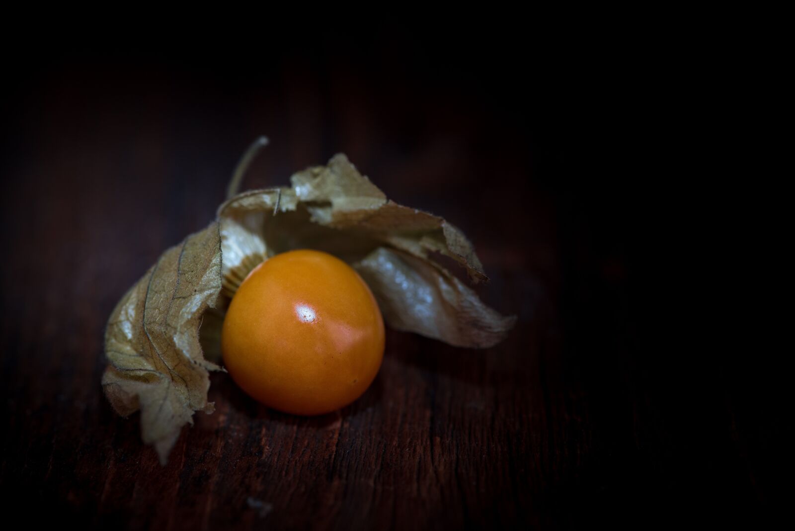 Nikon D750 sample photo. Physalis, physalis peruviana, cape photography