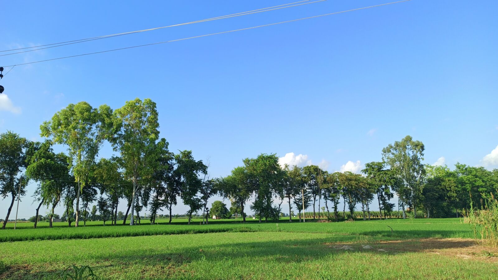 Xiaomi Redmi Note 8 Pro sample photo