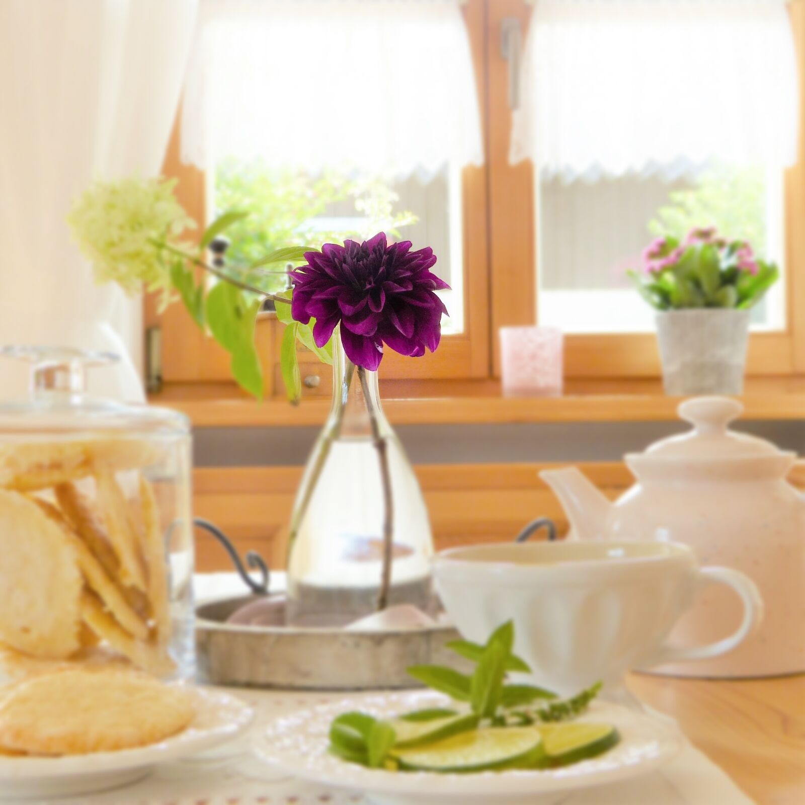 Panasonic Lumix DMC-FZ150 sample photo. Table, covered, flower photography