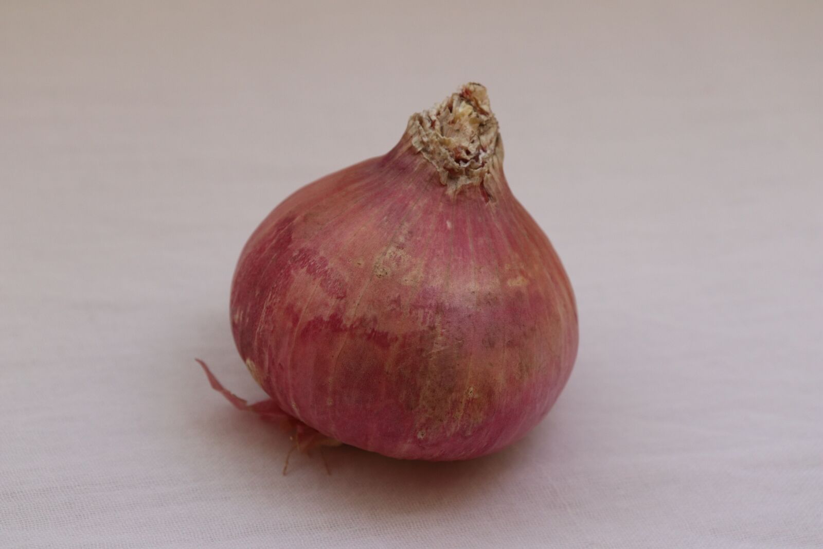 Canon EOS 77D (EOS 9000D / EOS 770D) sample photo. Onion, vegetable, vegetables photography