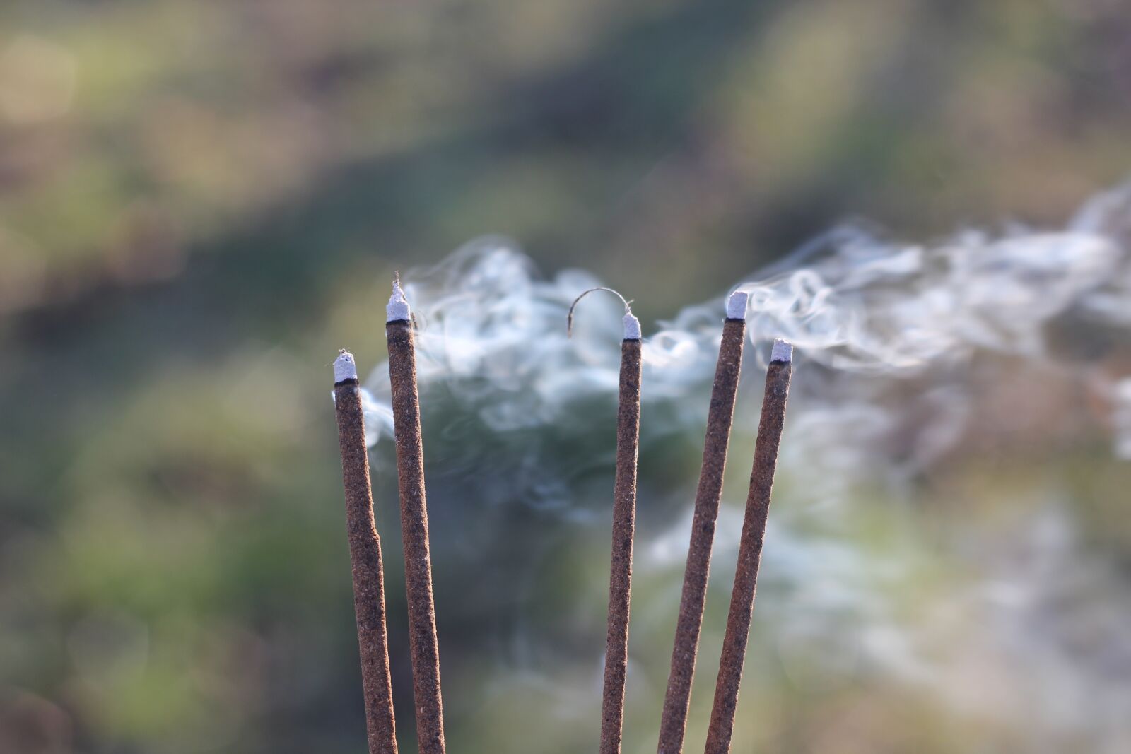 Canon EOS 550D (EOS Rebel T2i / EOS Kiss X4) sample photo. Smoke, blow, incense photography