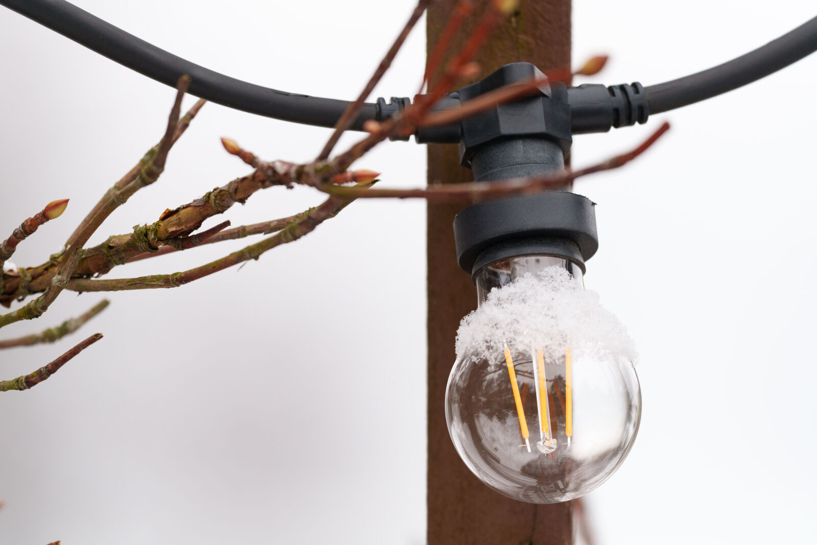 Sony a7R V sample photo. Snowy lightbulb photography