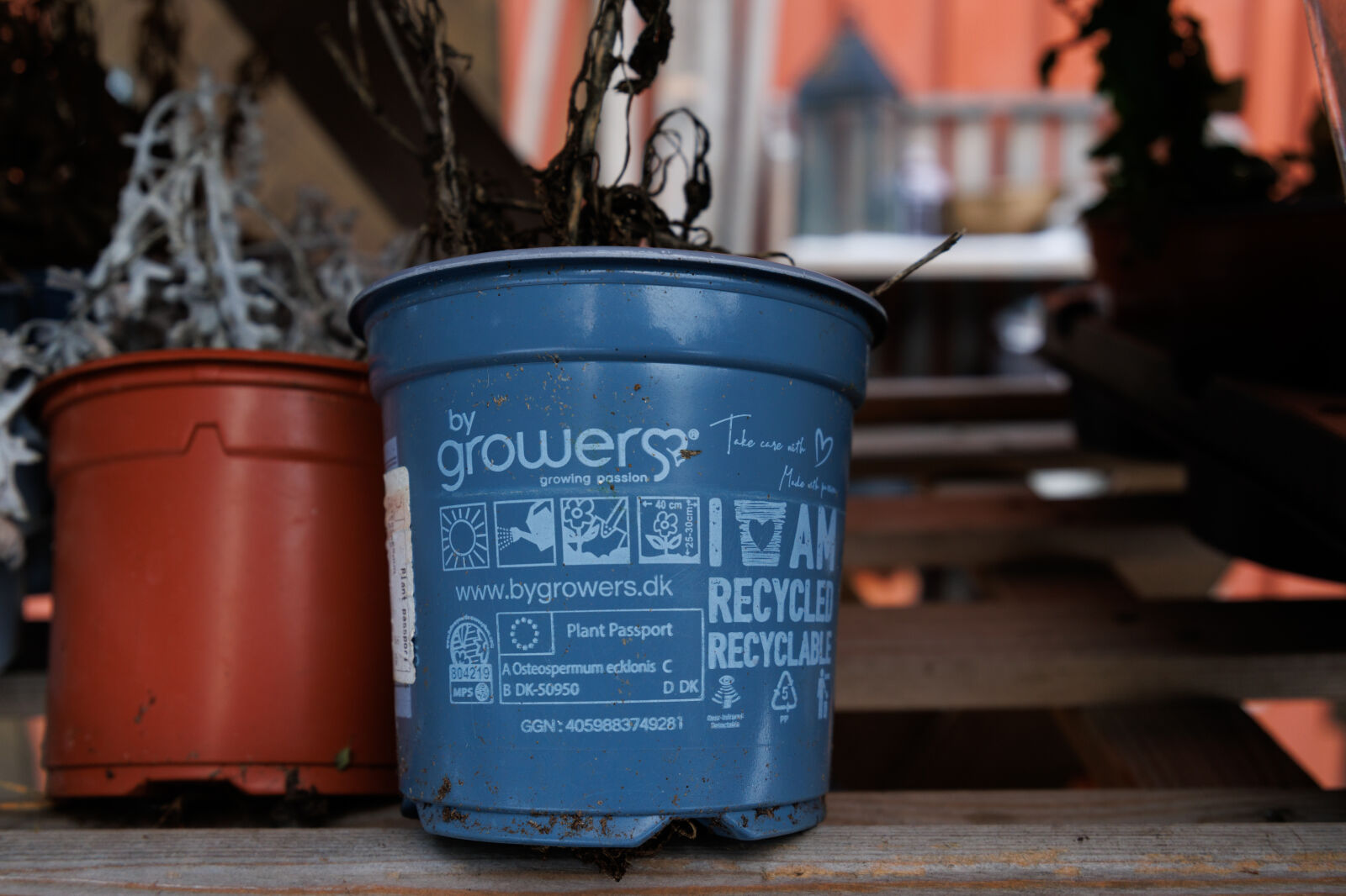 Tamron 11-20mm F2.8 Di III-A RXD sample photo. Winter planting photography