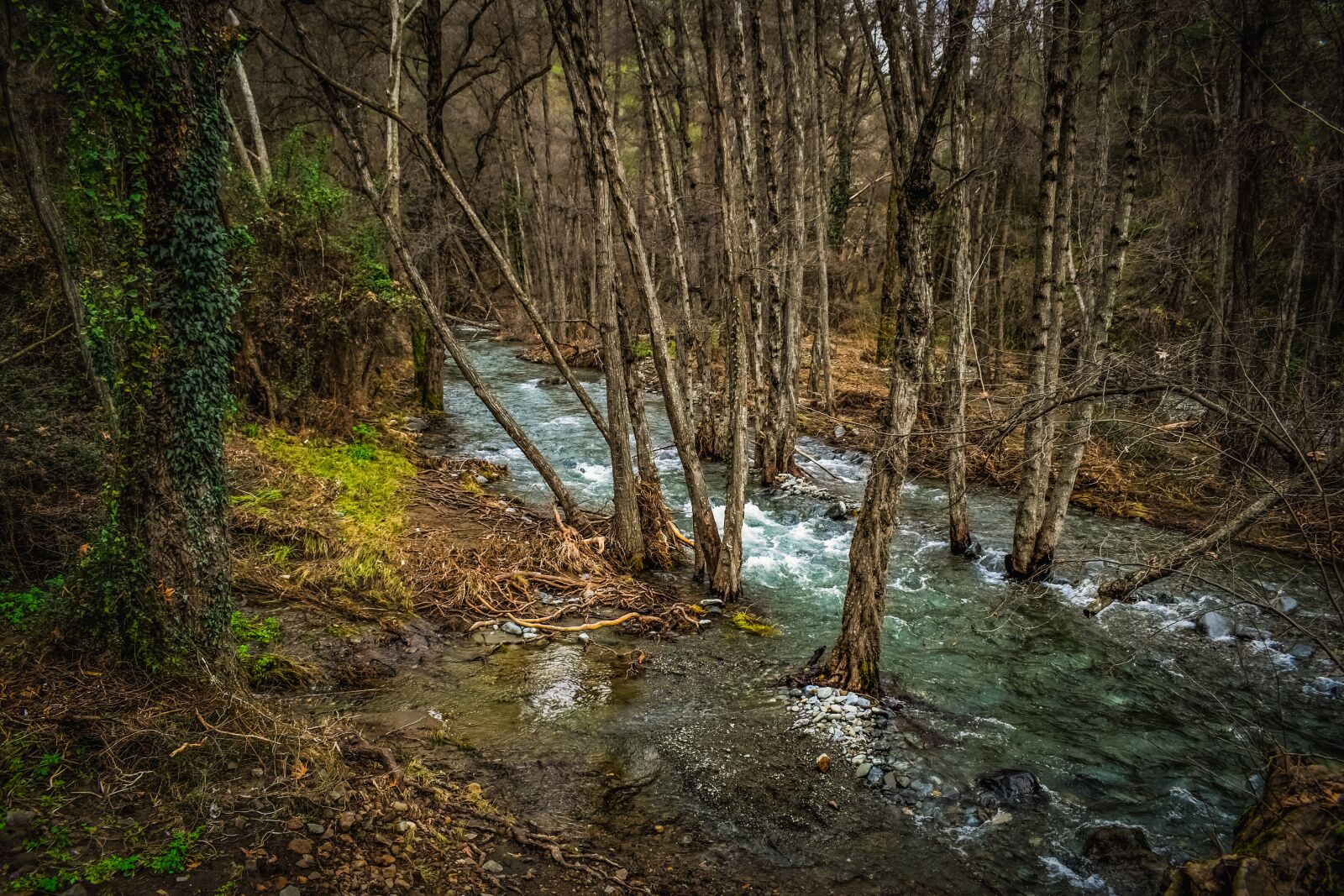 Nikon D3300 sample photo. Stream, creek, river photography