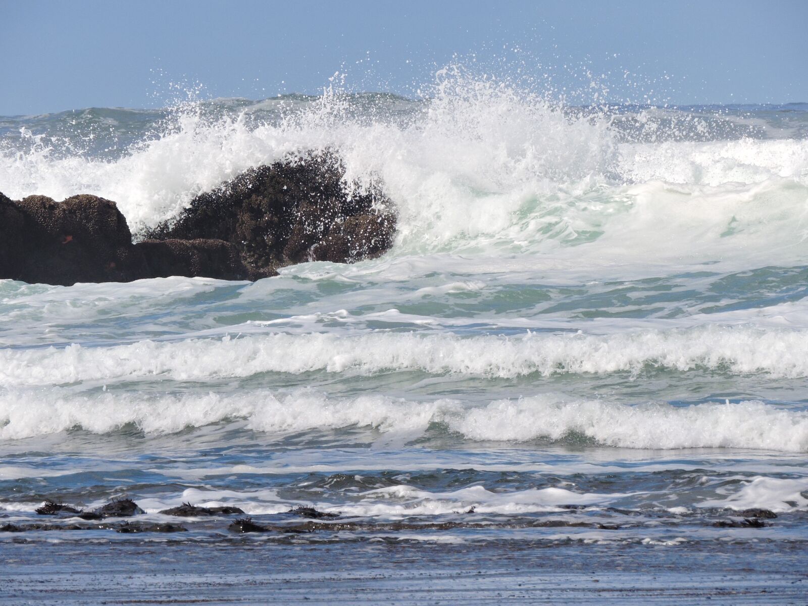 Nikon Coolpix P600 sample photo. Ocean, coast, wave photography