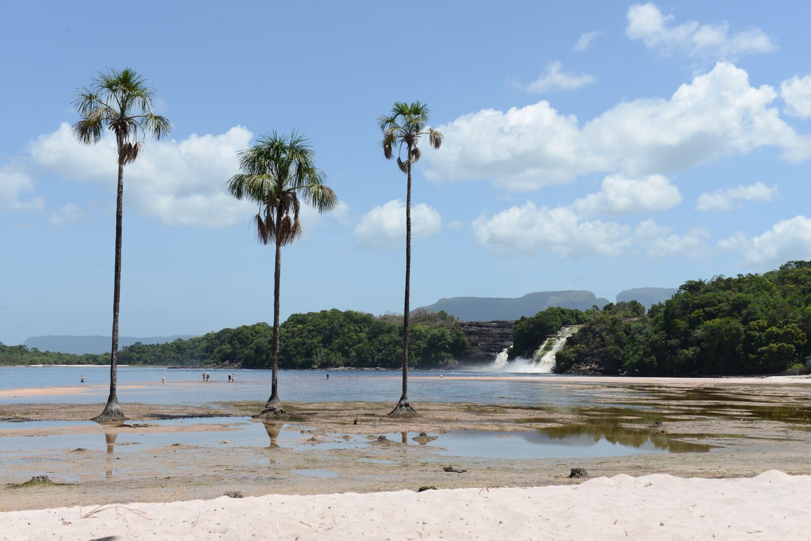 Nikon D800 sample photo. Palm trees, beach, lake photography