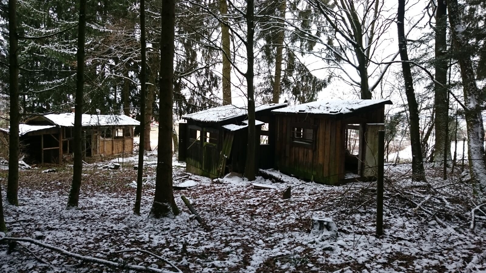 Sony Xperia Z3 sample photo. Forest, winter, cold photography
