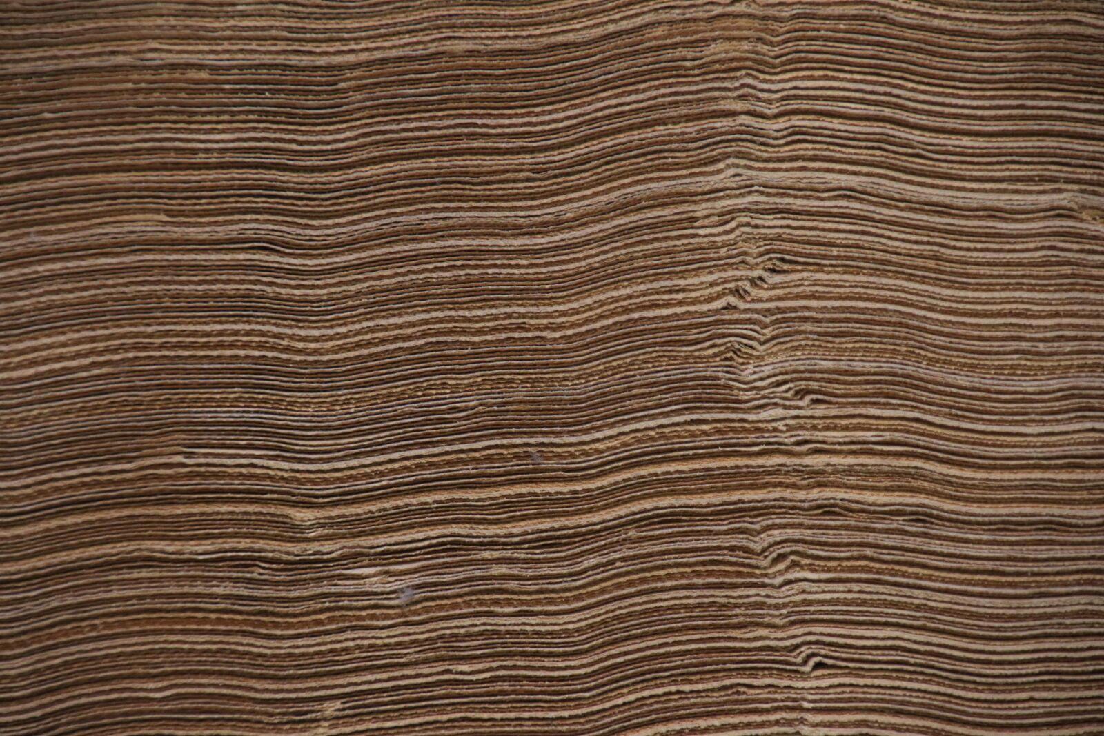 Canon EOS 7D Mark II sample photo. Brown, newspaper, paper, piling photography