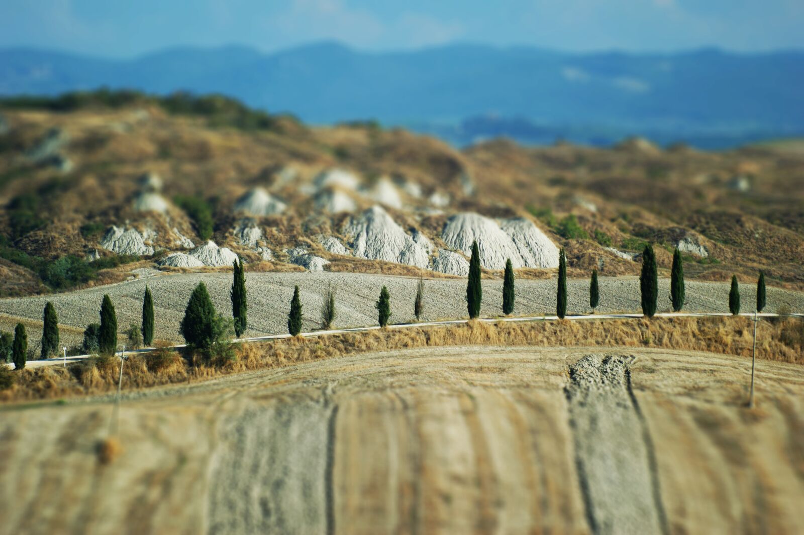 Sony Alpha DSLR-A350 sample photo. Tuscany, landscape, cypress photography