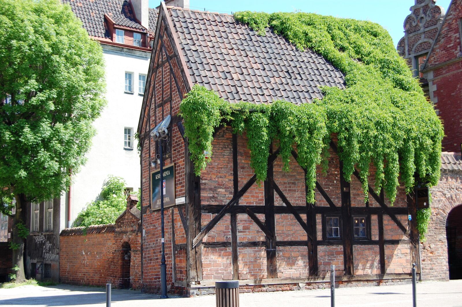 Nikon D40 sample photo. Gdańsk, building, ivy photography