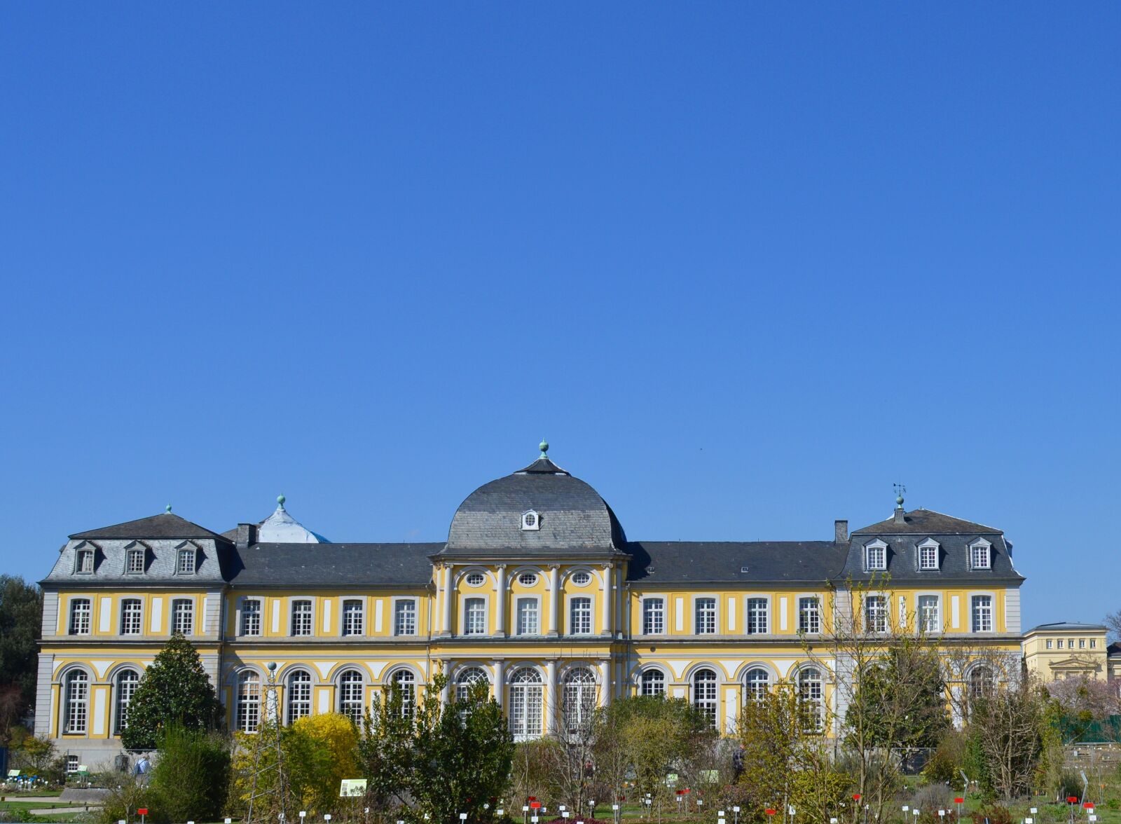Nikon D3200 sample photo. Castle, poppelsdorfer schloss, bonn photography