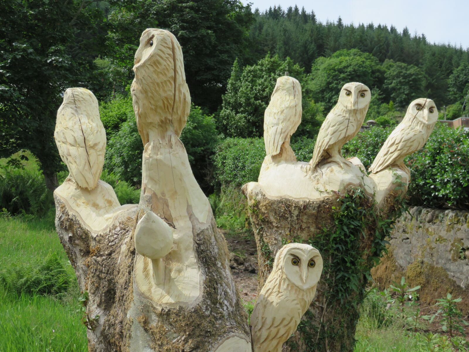 Canon PowerShot SX700 HS sample photo. Carved owls, wise, wood photography