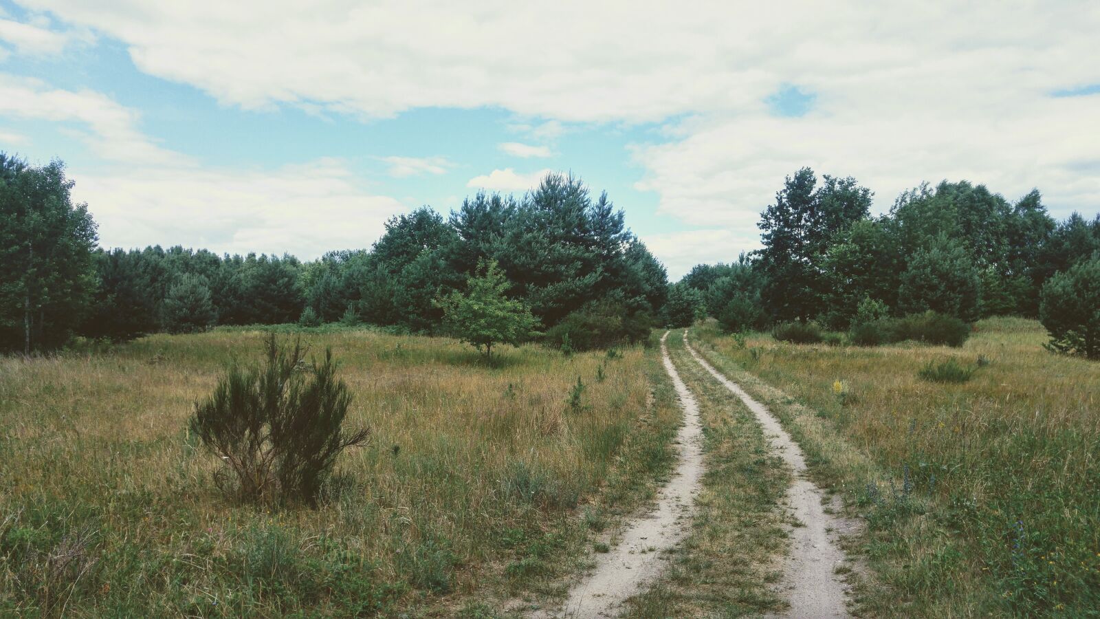 LG G4 sample photo. Germany, brandenburg, nature photography