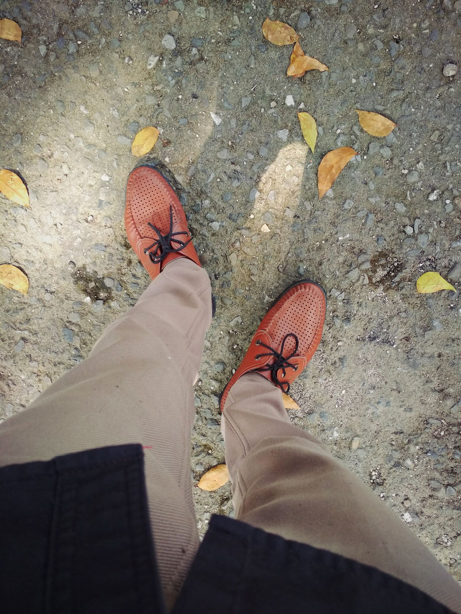 Xiaomi Redmi 4X sample photo. Shoe, leaf, brown photography