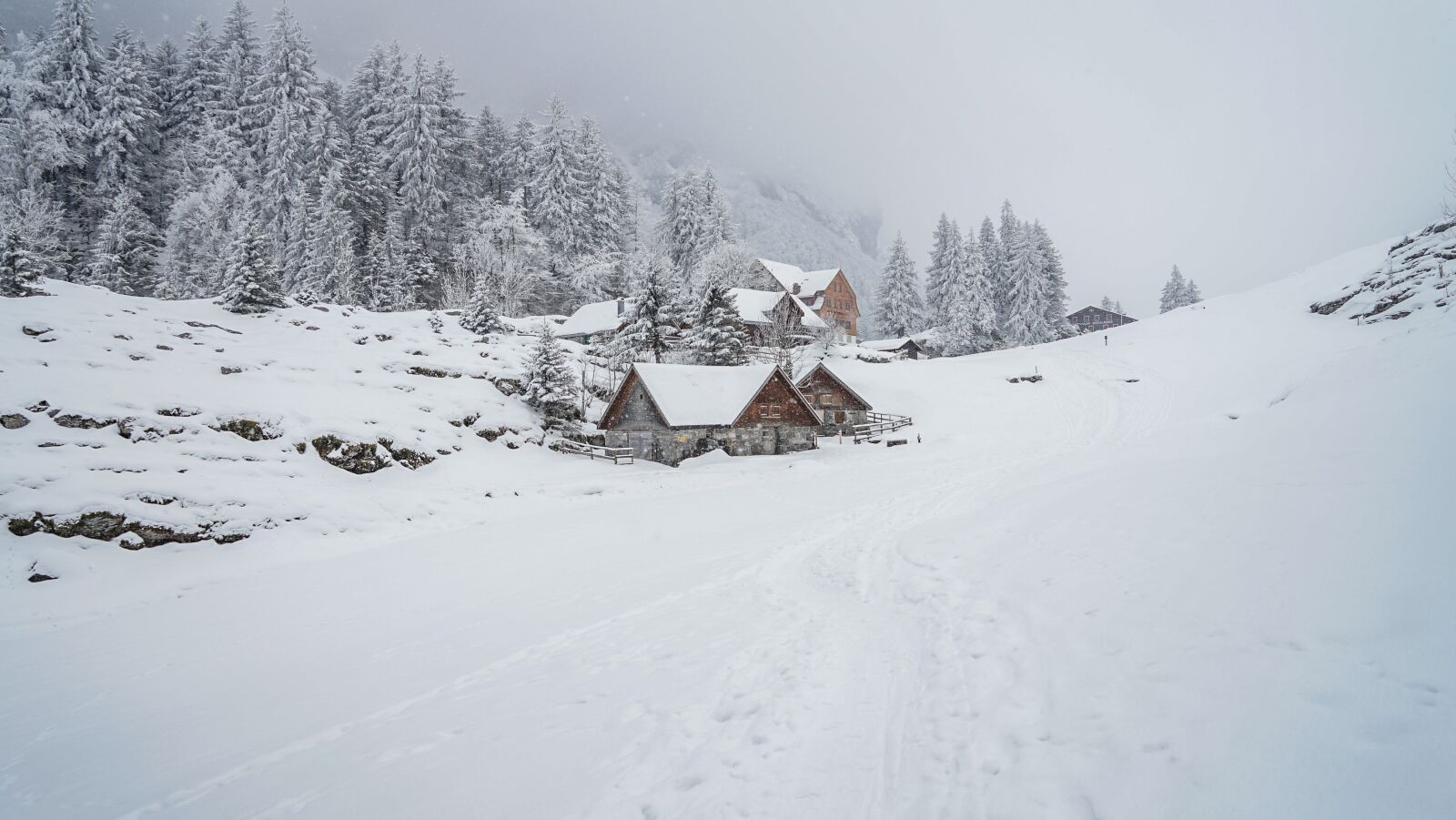 Sony a7 II + Sony Vario Tessar T* FE 24-70mm F4 ZA OSS sample photo. Winter, snow, nature photography