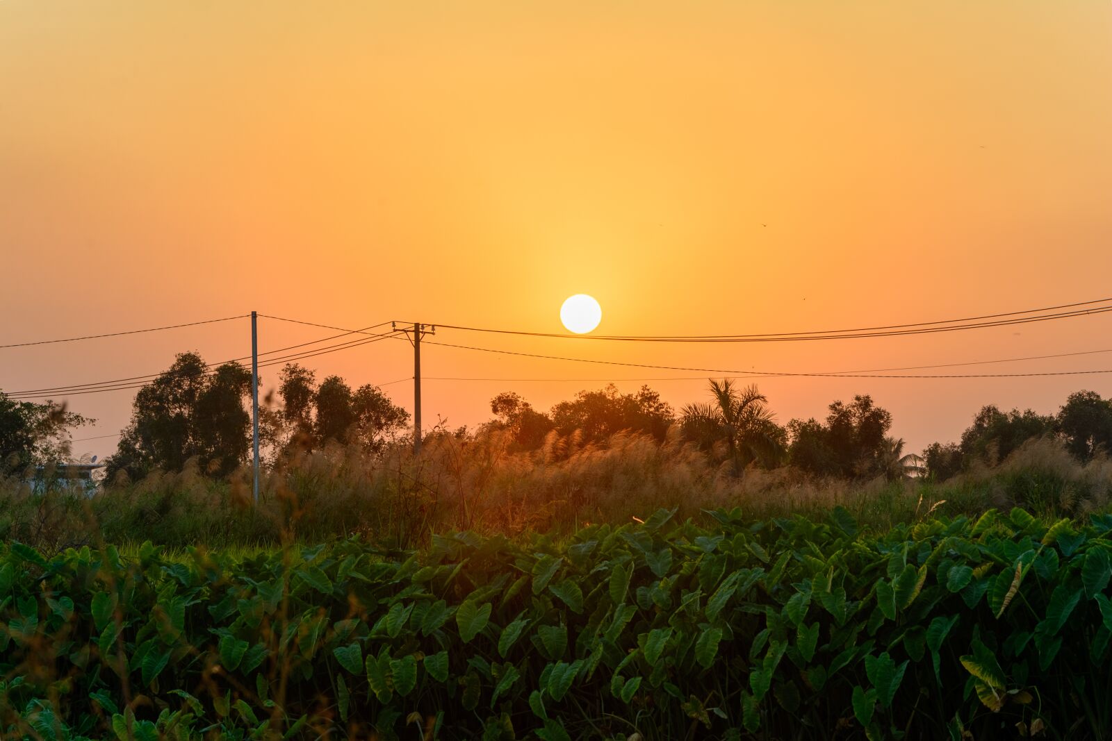 Nikon D7100 sample photo. Sunset, sun, landscape photography