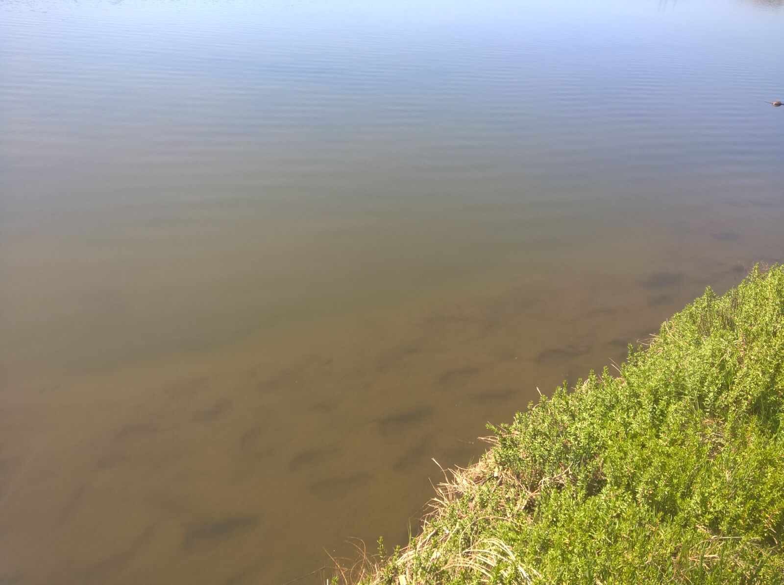 Microsoft Lumia 640 XL sample photo. Footprints, river, water photography