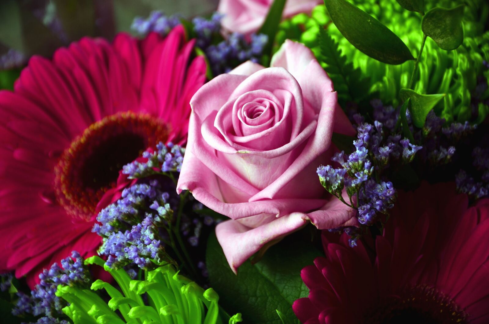 Nikon D5100 sample photo. Rose, flower, petal, bouquet photography
