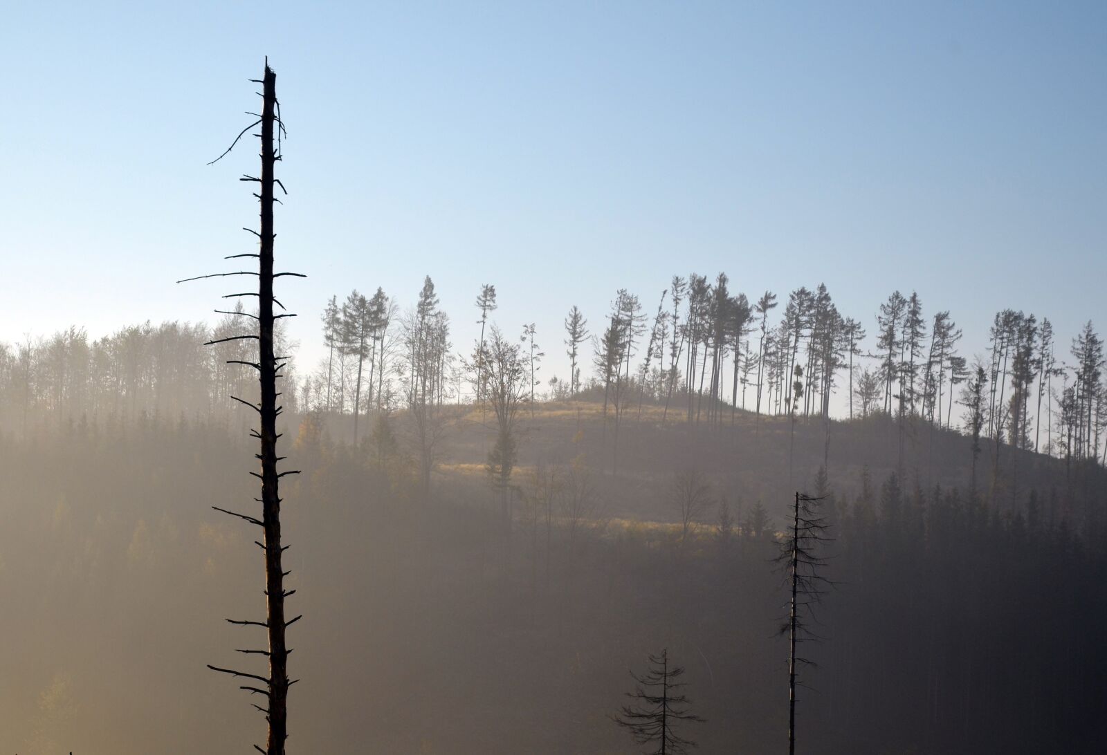 Nikon D5100 sample photo. Jeseniky, calamity, forests photography