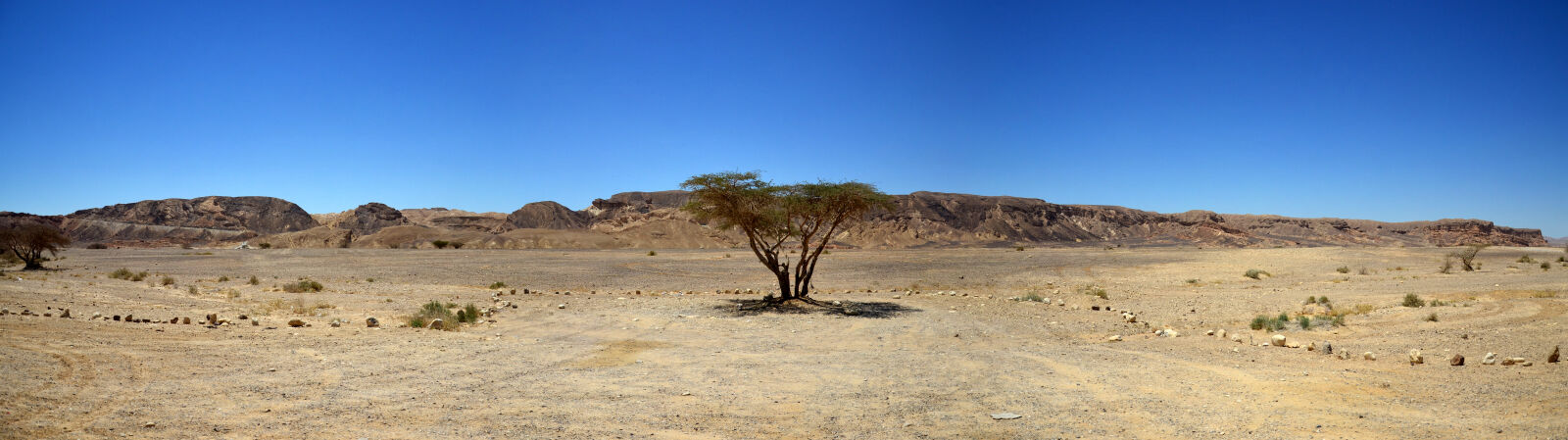 Nikon D3100 sample photo. Desert, israel, sand, sky photography