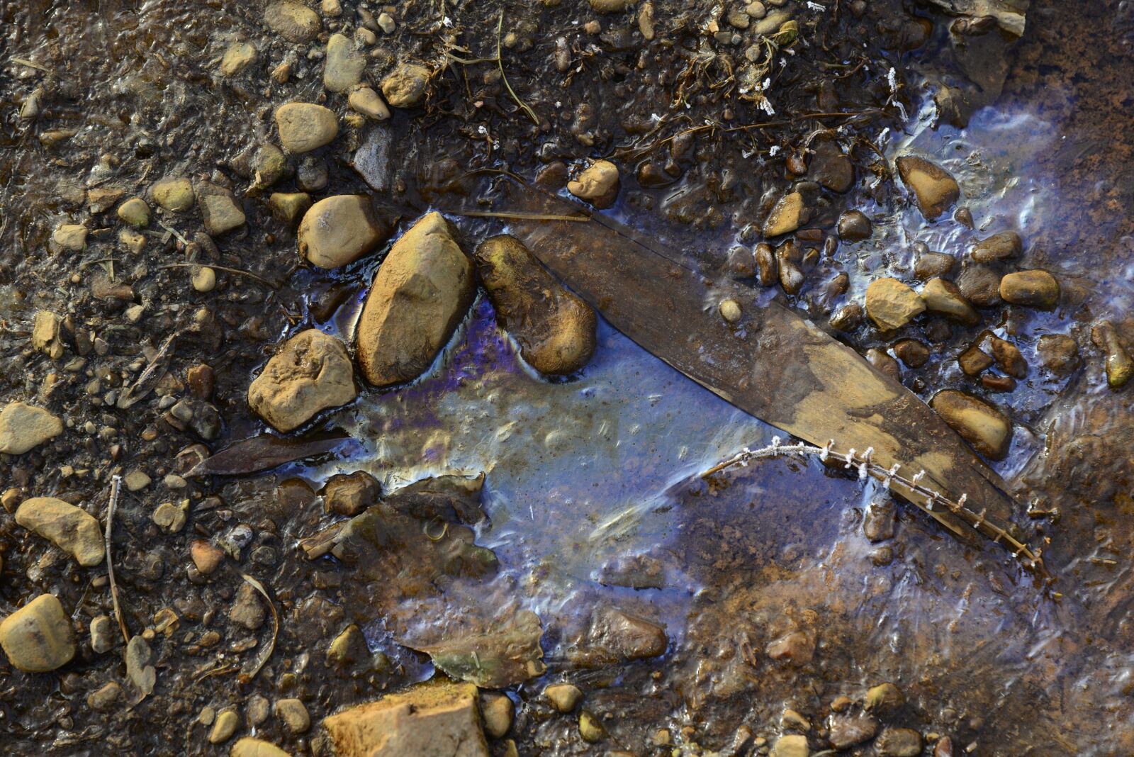Nikon D610 sample photo. Abstract, old wood, stones photography