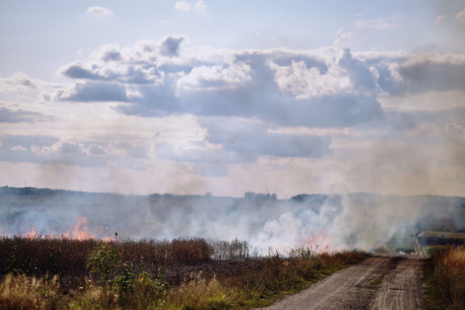 Canon EF 85mm F1.8 USM sample photo. Fire, field, anxiety photography