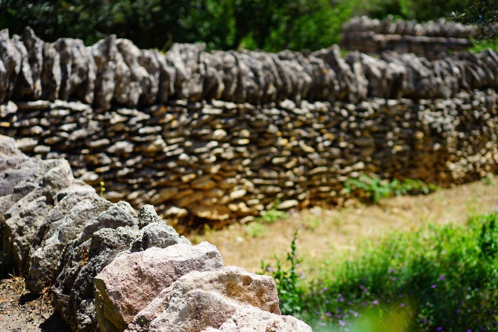 Sony a7 + Sony Sonnar T* FE 55mm F1.8 ZA sample photo. Stone wall, wall, masonry photography