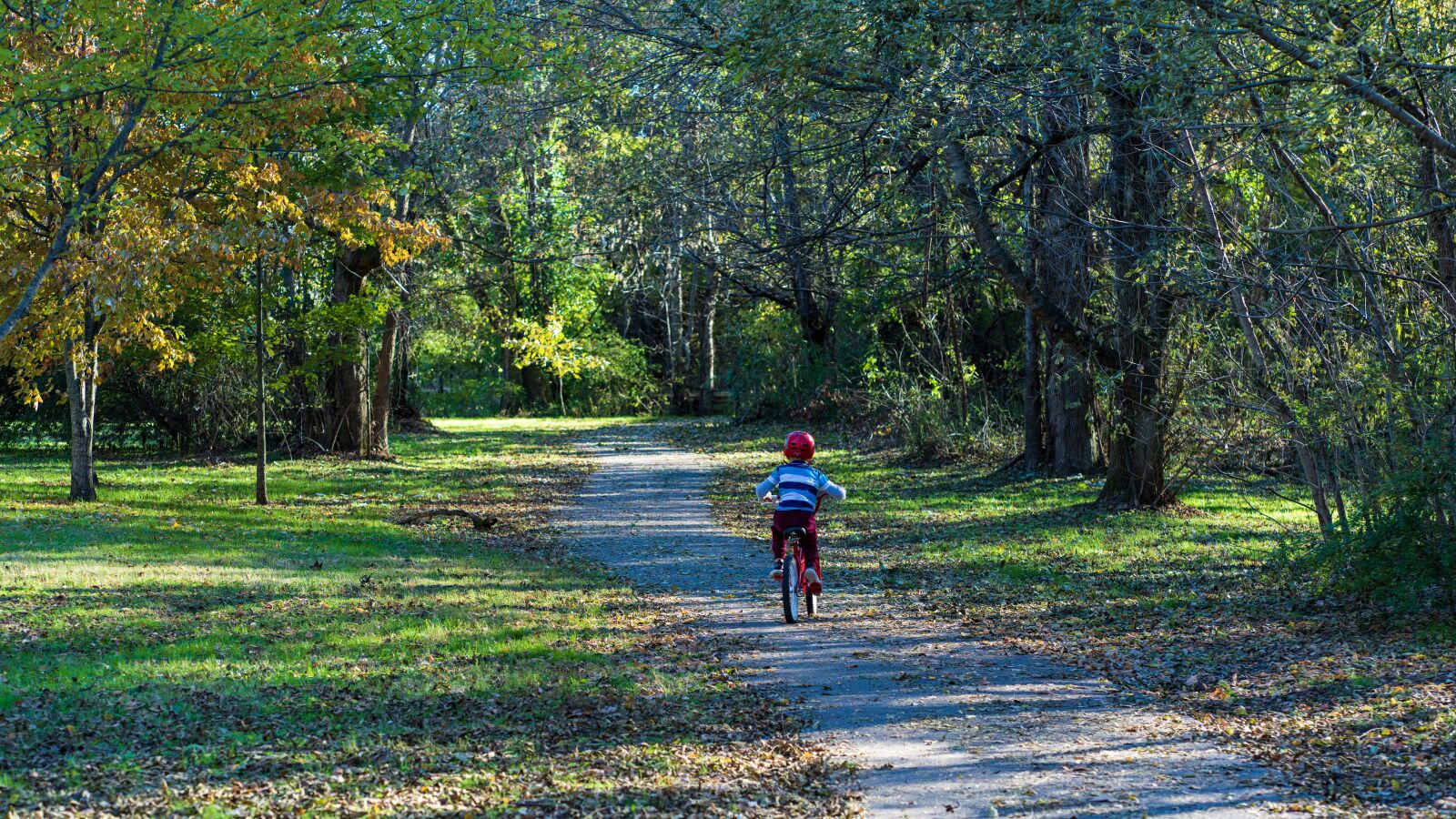 Sony a7R III sample photo. Bike, path, cycling photography