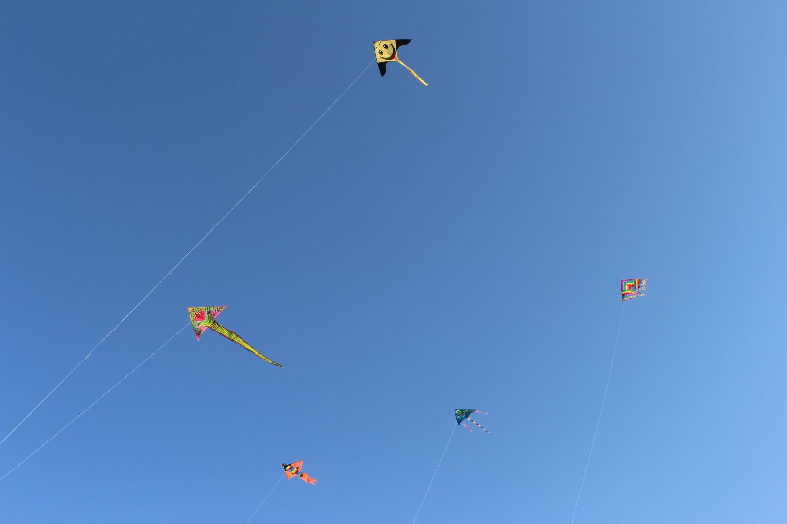 Canon EOS 700D (EOS Rebel T5i / EOS Kiss X7i) sample photo. Sky, kite flying, dragon photography