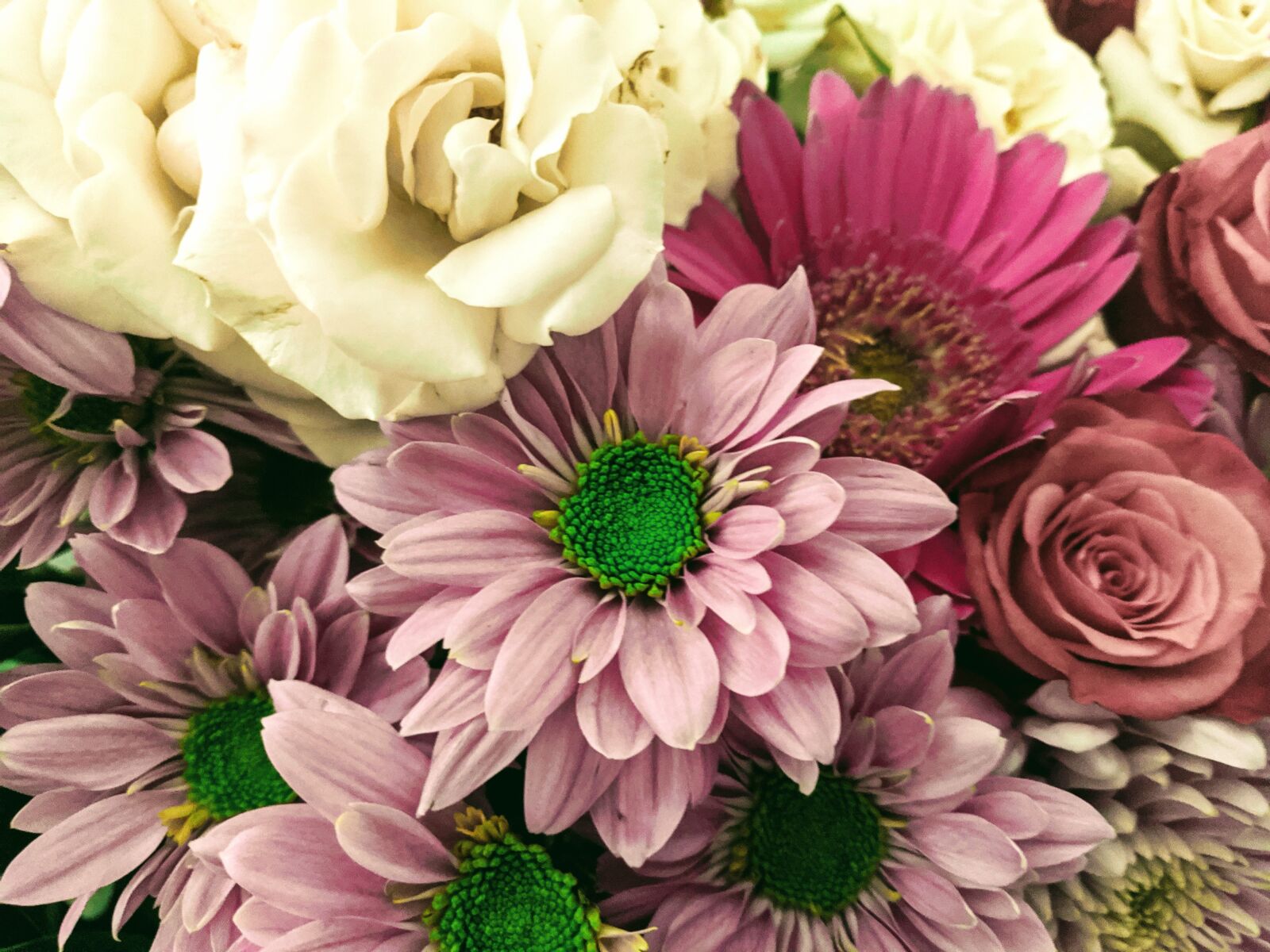Google Pixel sample photo. Bouquet, daisy, flowers photography