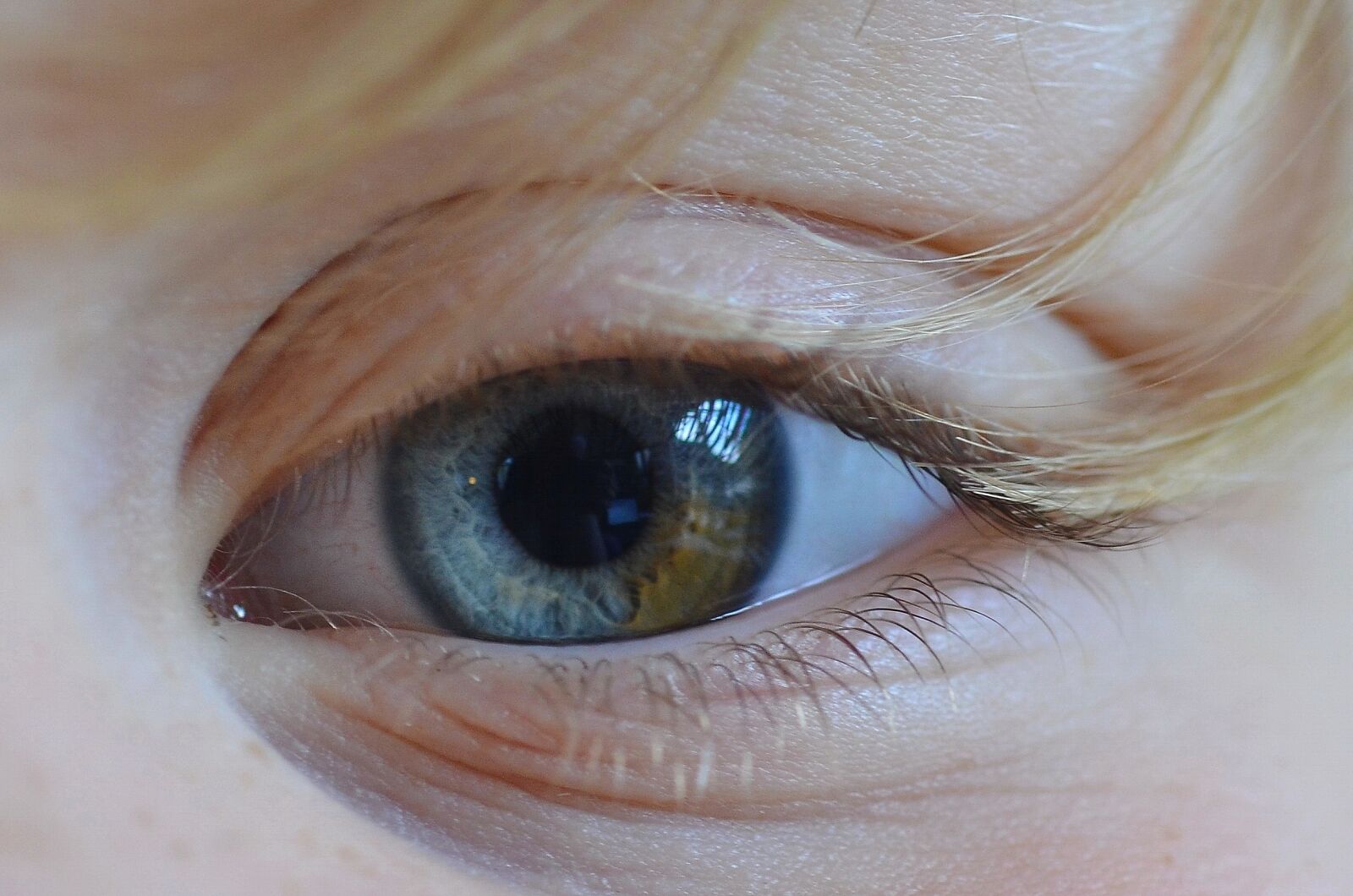 Nikon D7000 sample photo. Eye, color, yellow photography