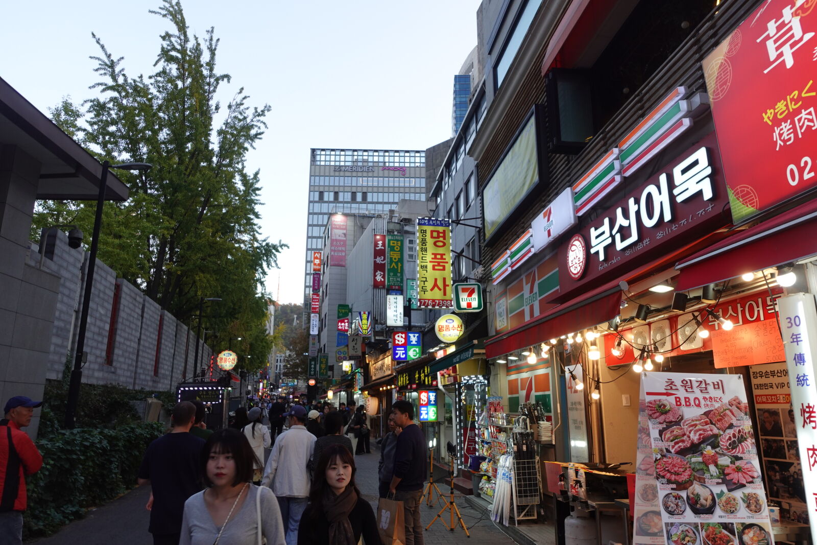 Sony ZV-1 sample photo