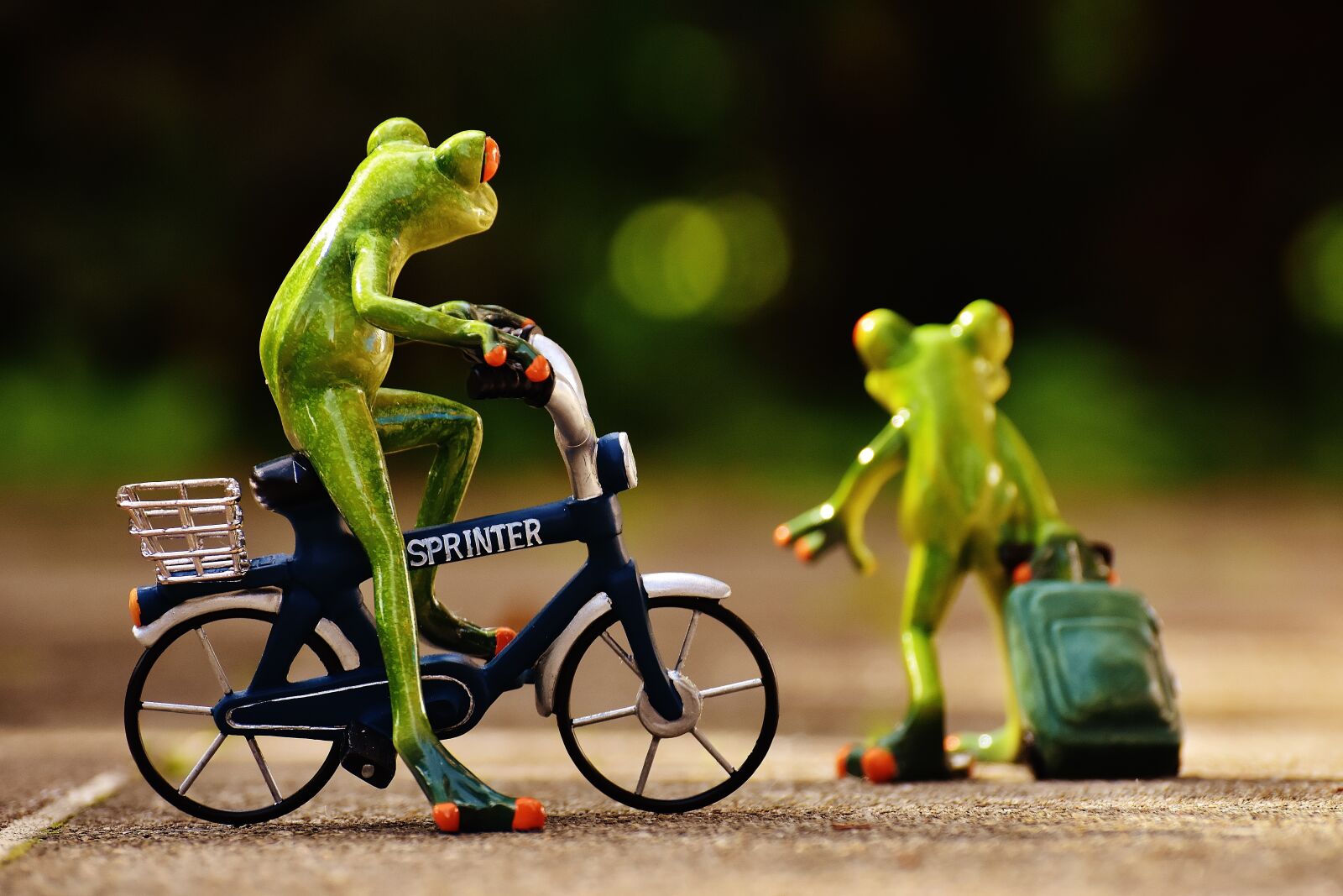 Nikon D7200 sample photo. Frogs, farewell, bike photography