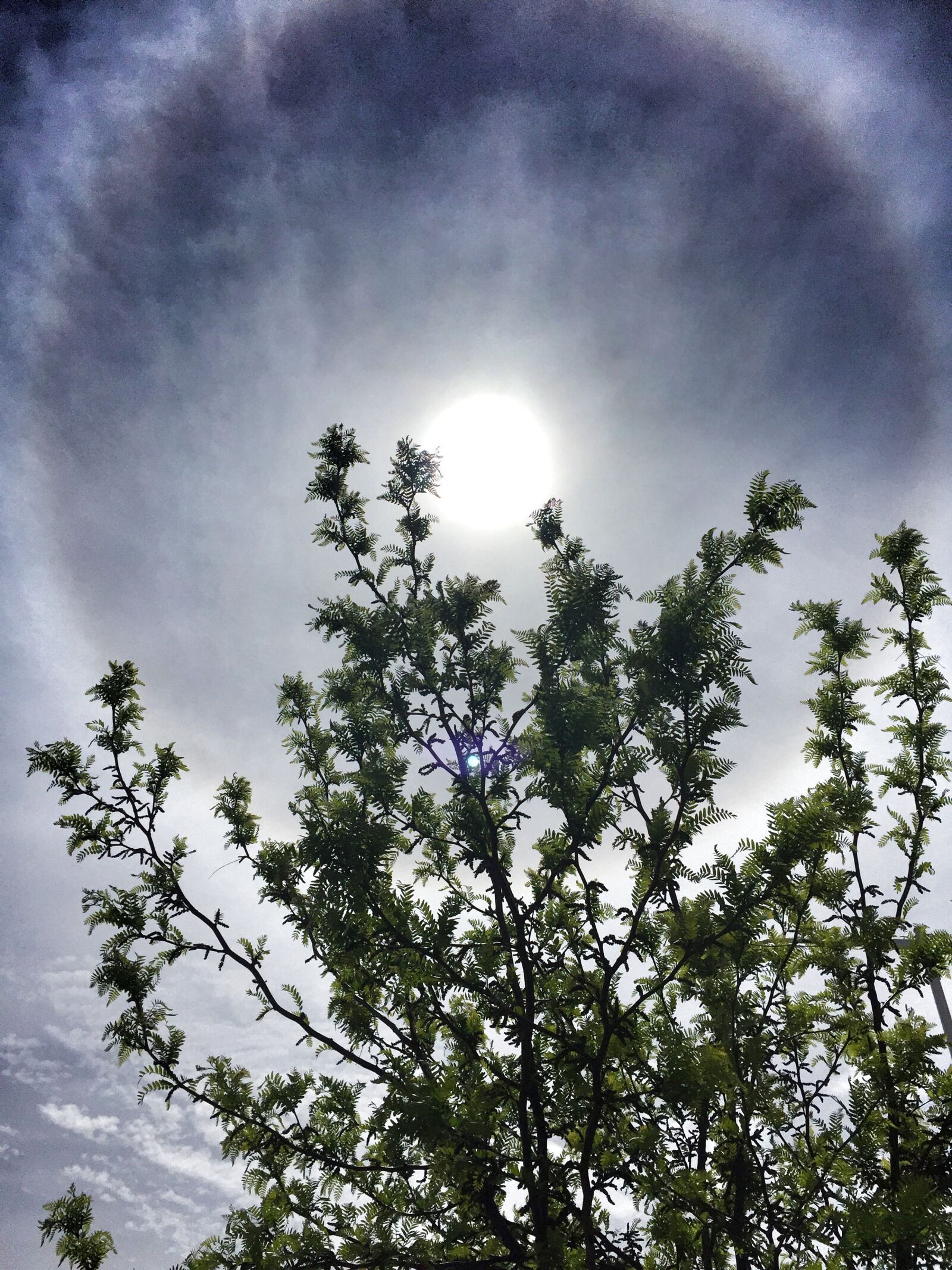 iPhone 6 Plus back camera 4.15mm f/2.2 sample photo. Sun, sky, nature photography