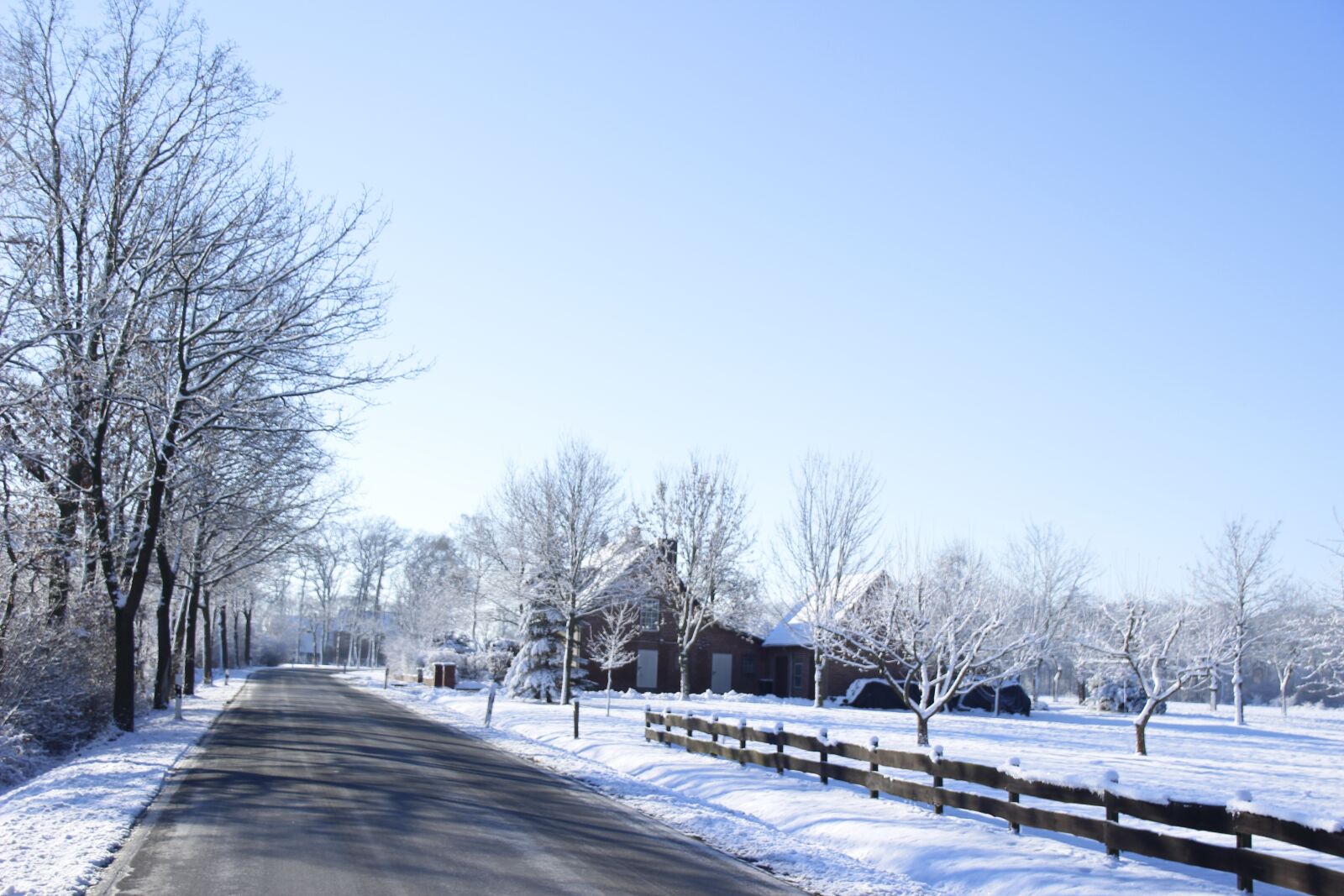 Canon EOS 600D (Rebel EOS T3i / EOS Kiss X5) sample photo. Winter, snow, cold photography