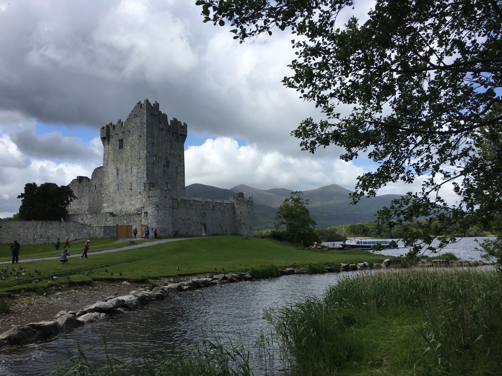 iPhone 6s back camera 4.15mm f/2.2 sample photo. Irish, landscapes, castle photography