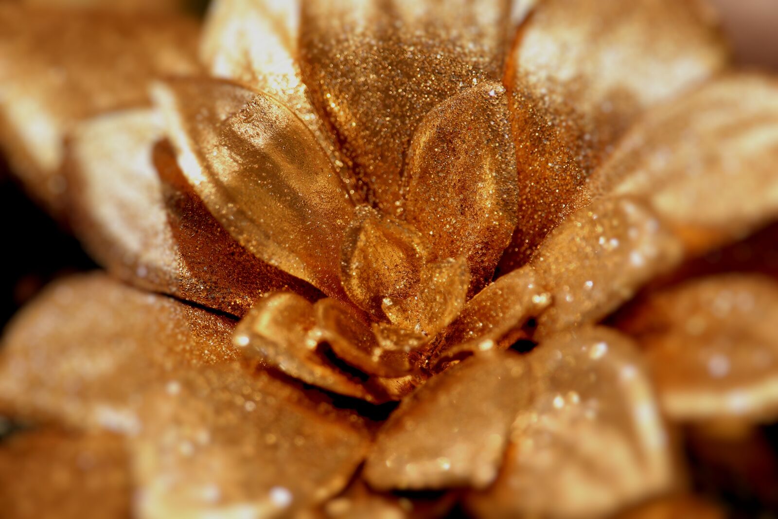 Canon EF-S 55-250mm F4-5.6 IS STM sample photo. Art flower, christmas, gold photography