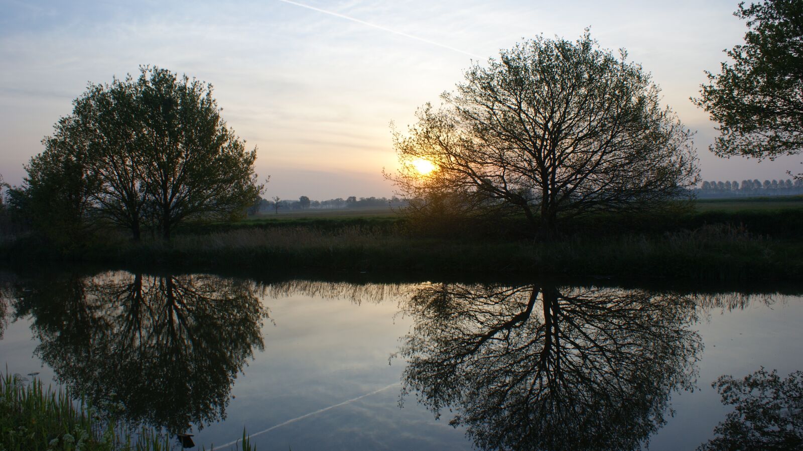 Sony Alpha DSLR-A350 sample photo. Sunrise, reflection, tree photography