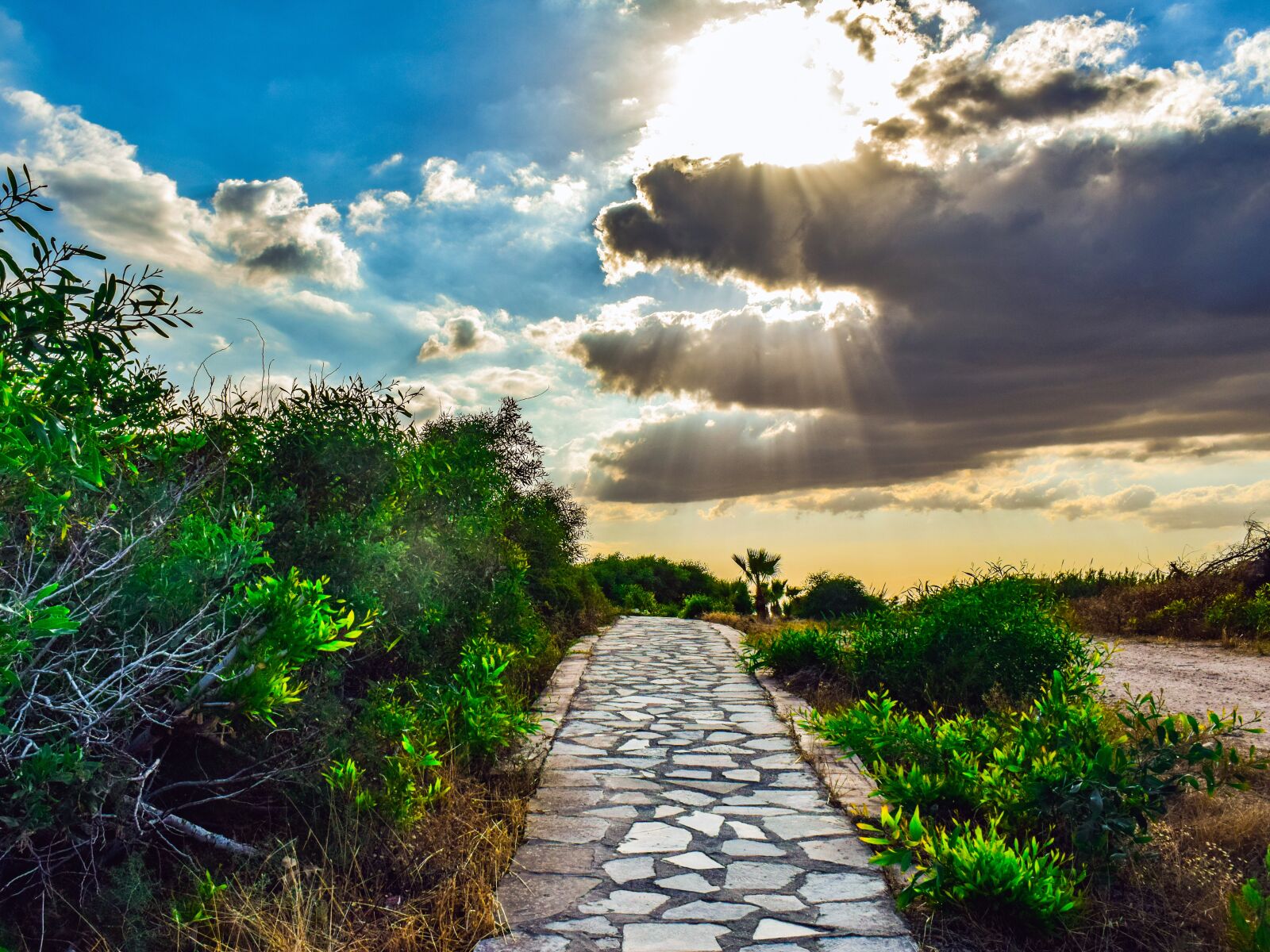 Nikon D3300 sample photo. Path, stone, nature photography