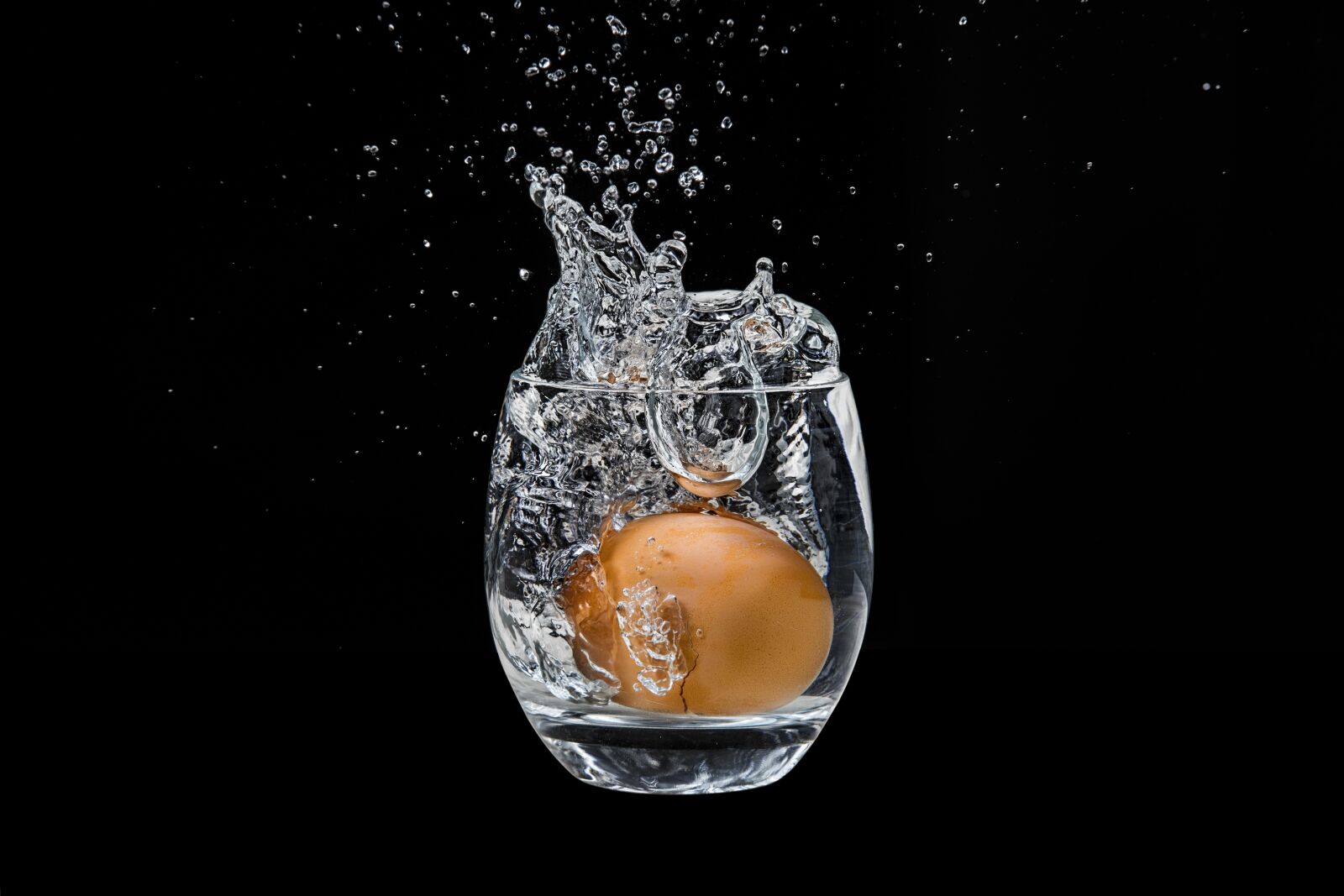 Canon EOS-1D X sample photo. The egg in the photography