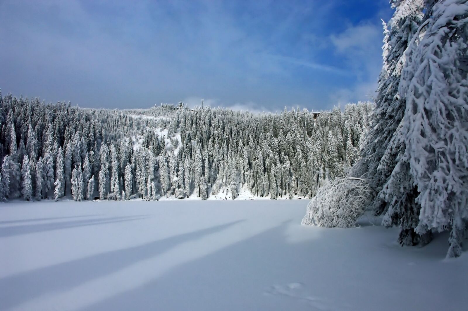 KONICA MINOLTA DiMAGE A1 sample photo. Winter, snow, wintry photography