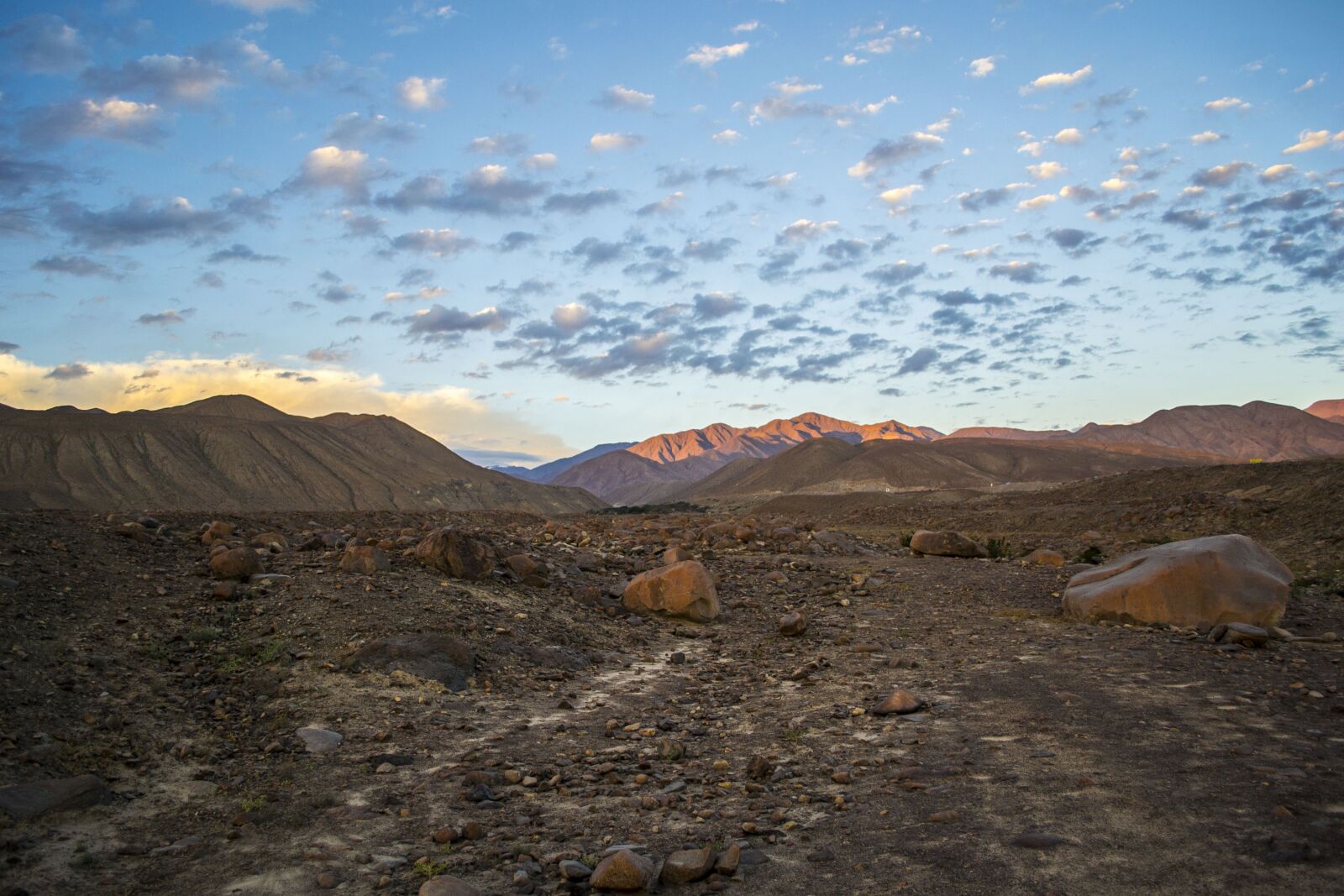 Nikon D3100 sample photo. Desert, miculla, tacna photography