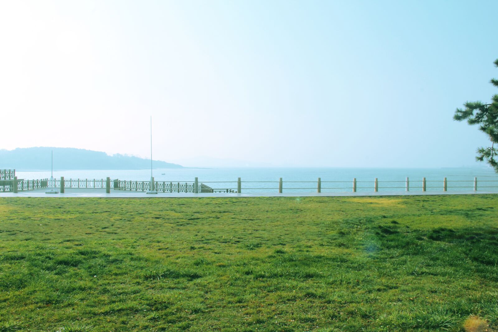 Canon EOS 60D sample photo. The sea, green, sunshine photography