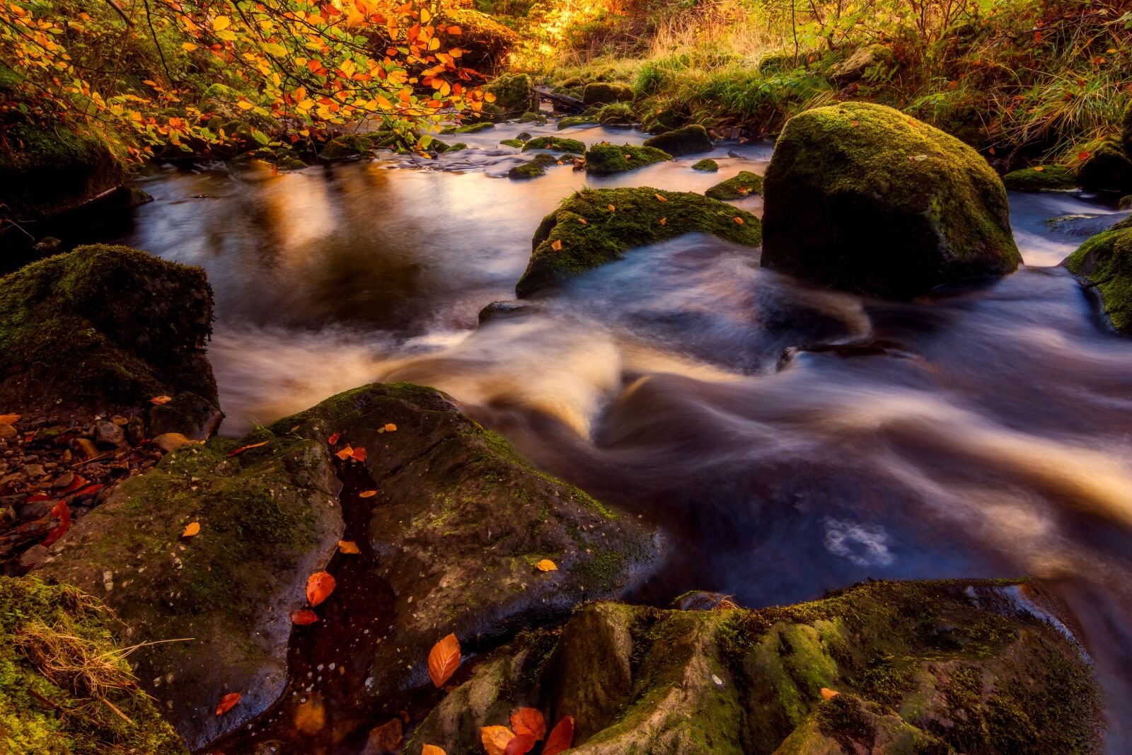 Nikon D7100 sample photo. Autumn, valley of desolation photography