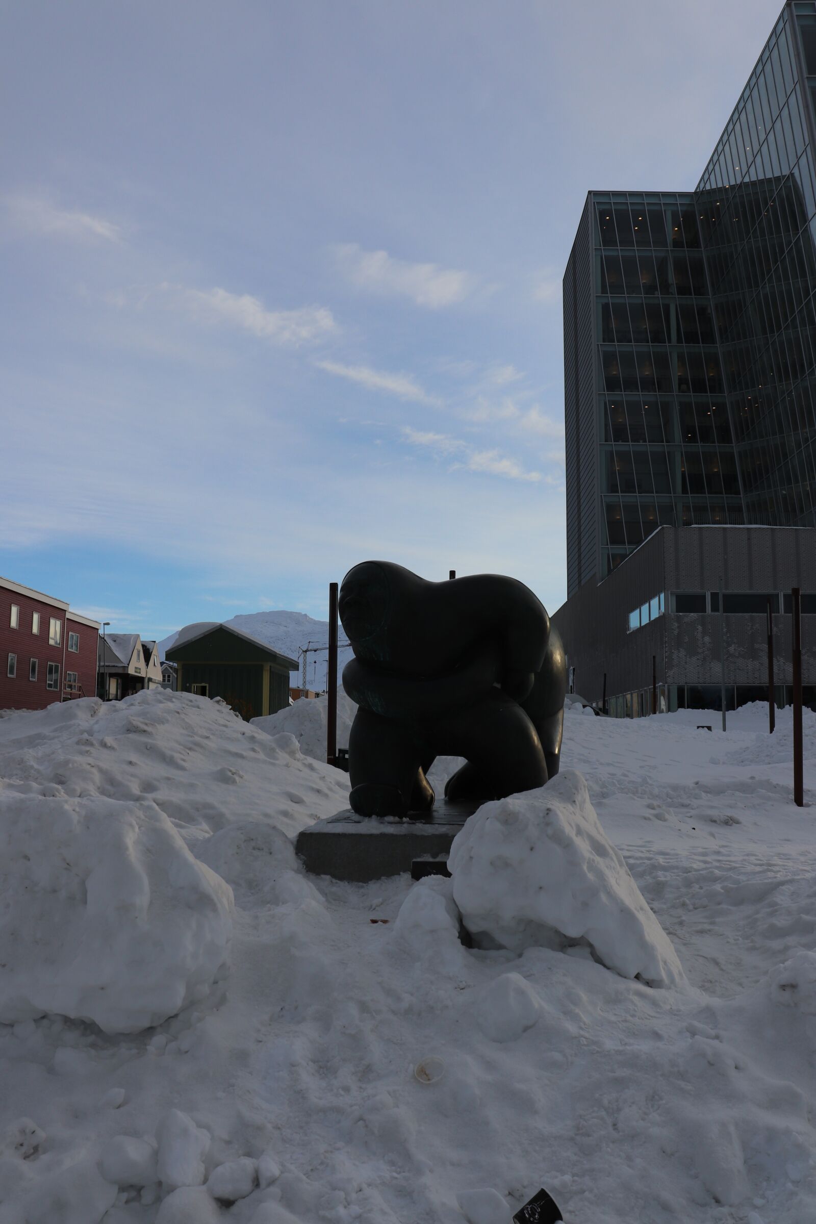 Canon EOS 200D (EOS Rebel SL2 / EOS Kiss X9) sample photo. Nuuk, greenland, winter photography