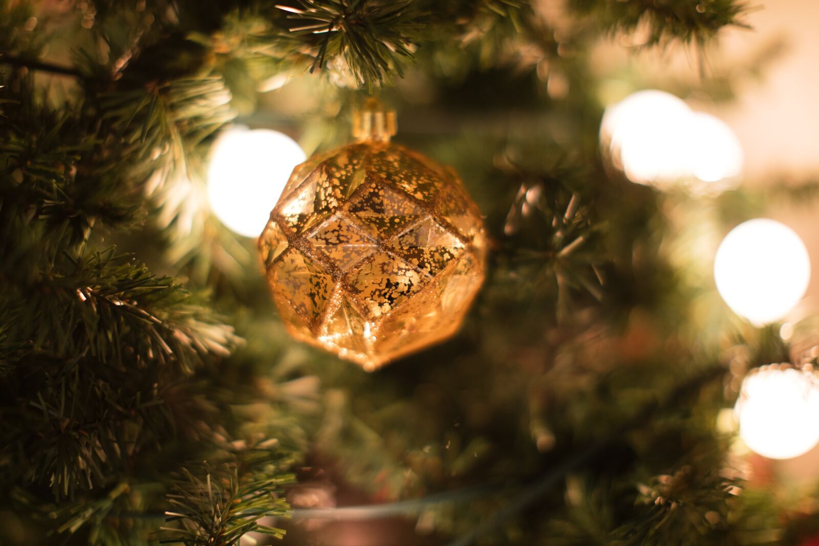 Canon EF 50mm F1.2L USM sample photo. Christmas background, christmas, christmas photography