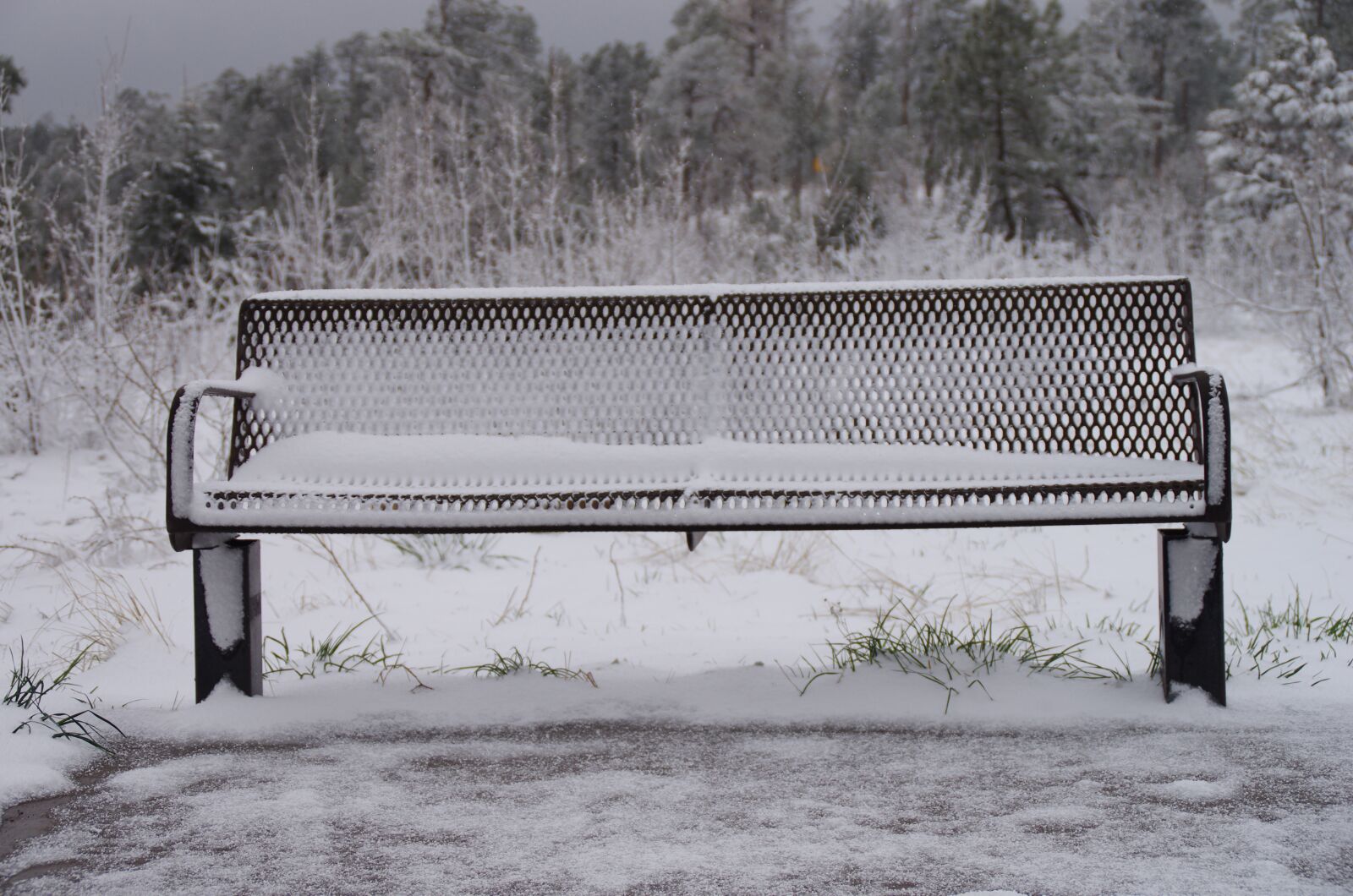 Pentax K-5 sample photo. Snowy, bench, forest photography