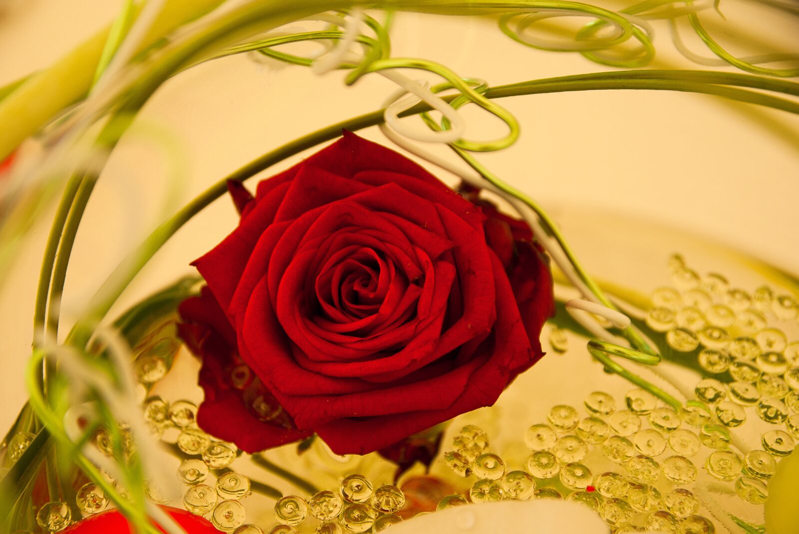 Pentax K10D sample photo. Pink, decoration, petals photography