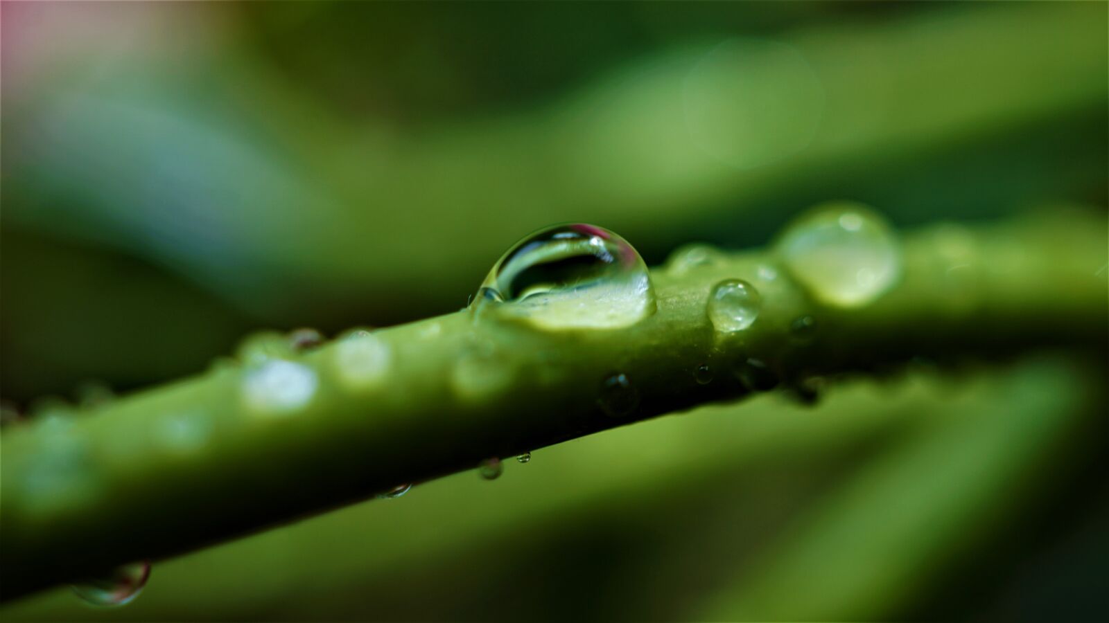 Sony E 30mm F3.5 Macro sample photo. Drop of water, water photography